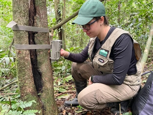 Suzano firma parceria com Programa Grandes Mamíferos da Serra do Mar para monitorar fauna da Mata Atlântica