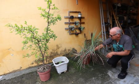 Jacareí decreta estado de emergência e alerta epidemiológico para a dengue