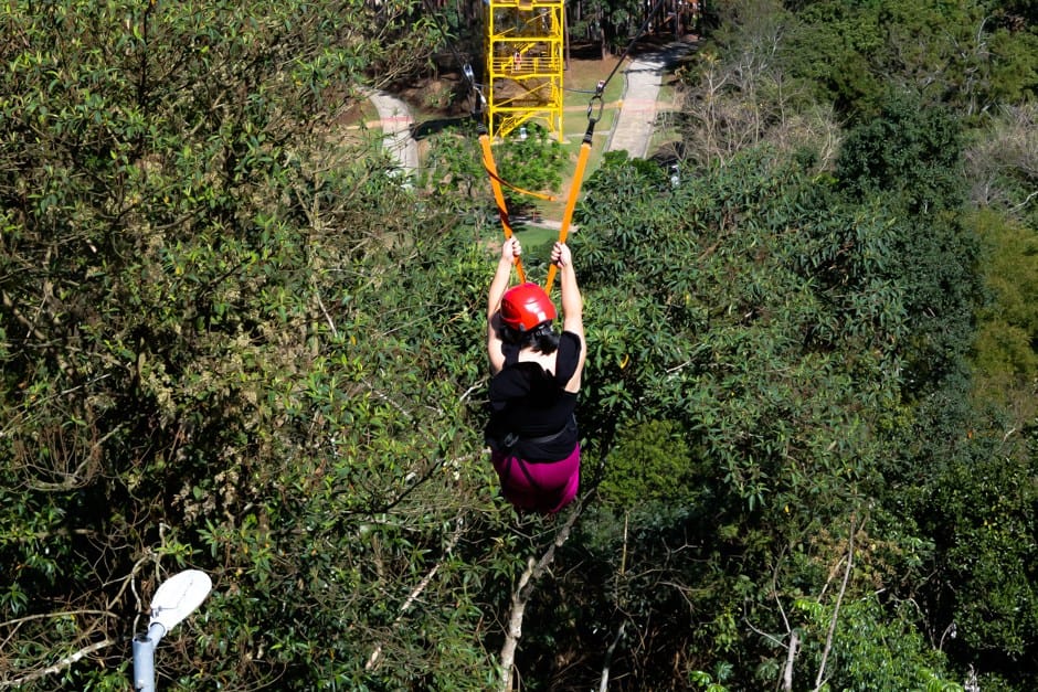 Parque Alberto Simões terá Arbotrilha neste sábado em São José