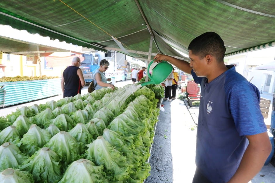 Prefeitura de São José mantém plantões no feriado de Carnaval