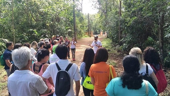 Pinda é certificada internacionalmente como “Cidade Árvore”