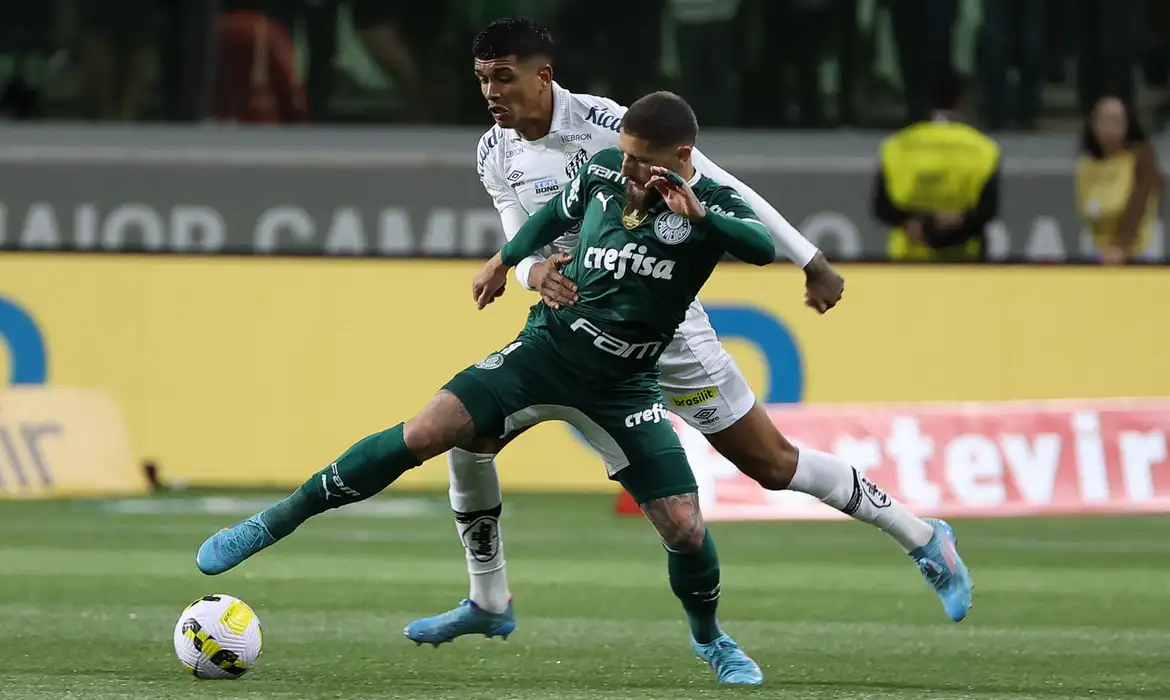 Veja onde assistir Santos X Palmeiras ao vivo