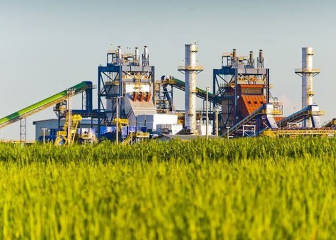 Usinas do Brasil elevam capacidade de açúcar e “deixam” etanol a processadores de milho