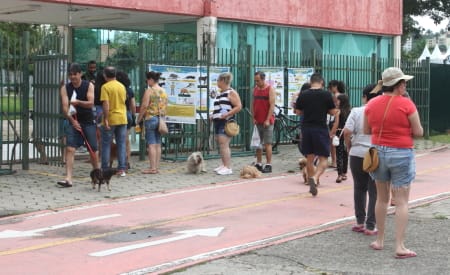 Jacareí realiza vacinação antirrábica para cães e gatos neste sábado