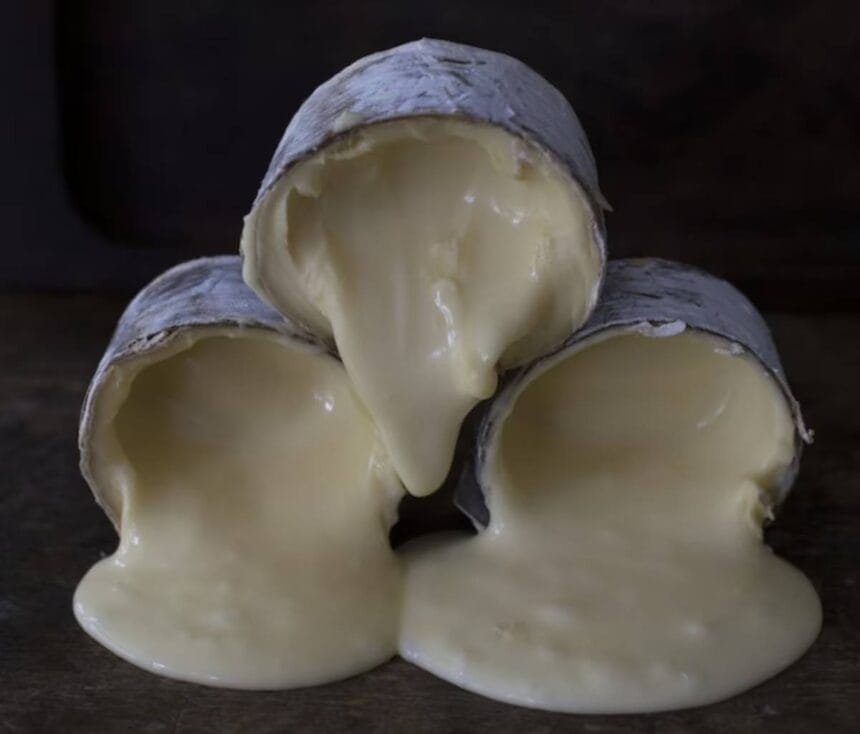 Queijo Morro Azul, de Pomerode, é eleito o melhor do mundo em concurso internacional