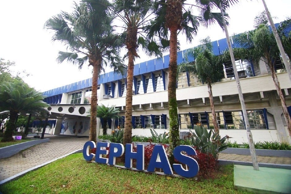 Cephas abre 200 novas vagas para cursos presenciais em São José