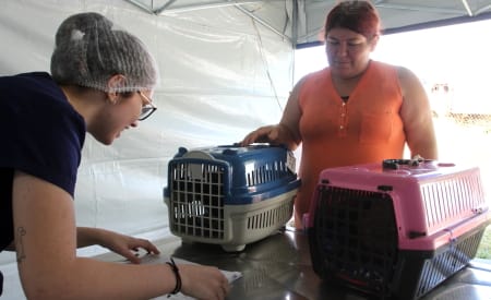 Jacareí realiza no sábado (25), mutirão de castração de pets