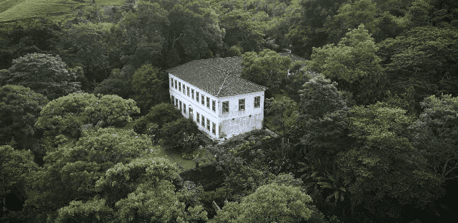 SOS Mata Atlântica e Airbnb lançam edital para criação de RPPNs na Mantiqueira e Serra da Bocaina