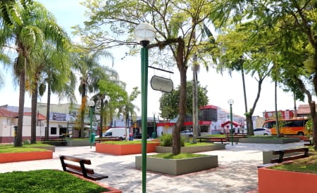 Audiência pública sobre o Plano Municipal de Arborização Urbana será realizada na quinta-feira (6), na Câmara de Jacareí