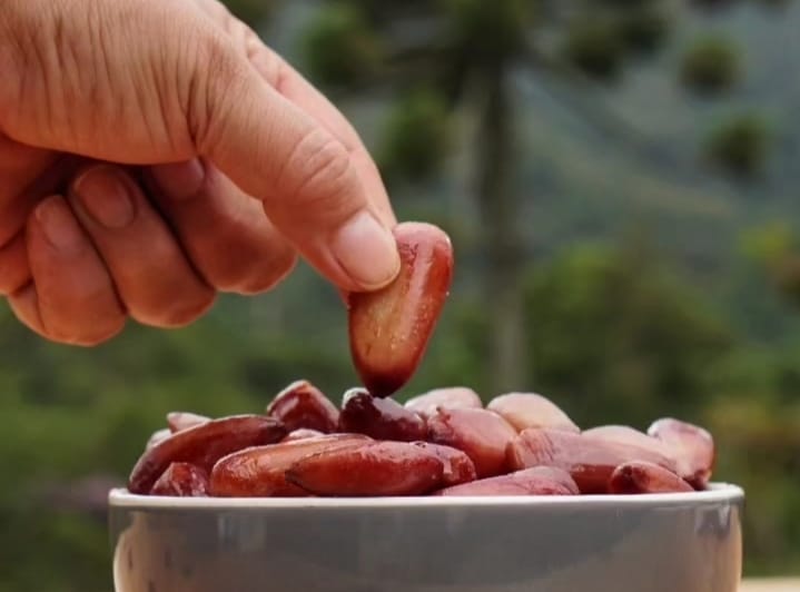 Festival de Pinhões Inhã Ponnã: Cultura, Natureza e Homenagens Especiais em Campos do Jordão