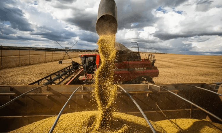 Vice-presidente Alckmin comemora dados de produção agroindustrial em abril