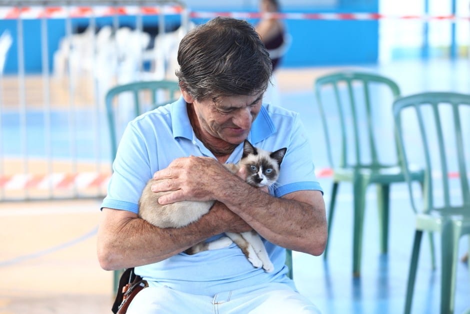 Meu Pet Feliz tem 1.000 vagas para castração e microchipagem em São José