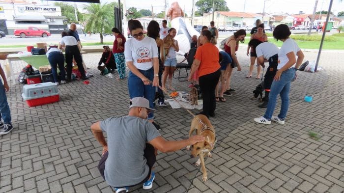 Pinda promove o 5º Encontro da Defesa Animal no próximo sábado (22)