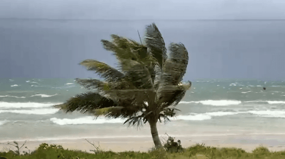 Alerta de mau tempo emitido pela Marinha do Brasil para o Litoral Norte Paulista