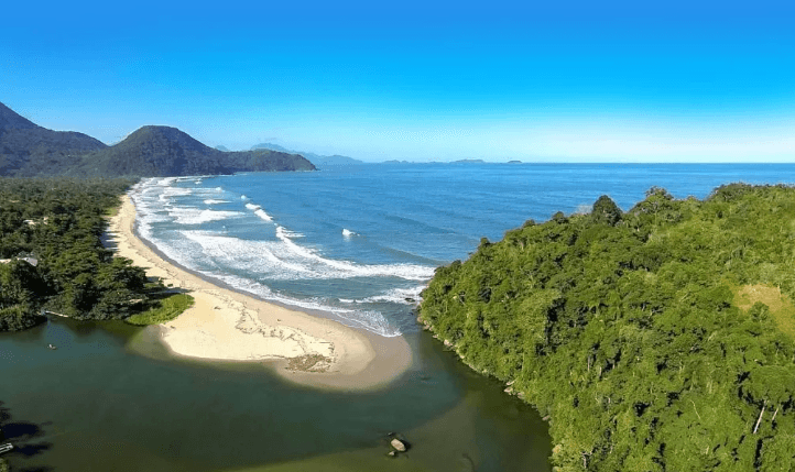 Praia de Itamambuca: Um refúgio natural no coração da Mata Atlântica