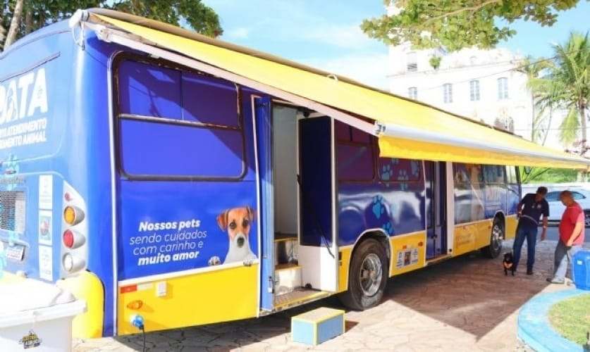 Mutirão de castração e vacinação de cães em Boiçucanga: Atendimento gratuito até 18 de outubro