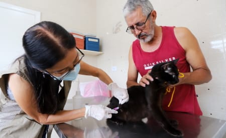 Vacinação antirrábica gratuita em Jacareí