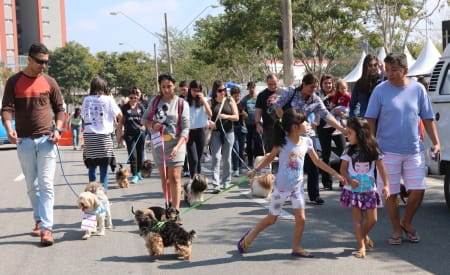 ETEC de Jacareí recebe primeira edição da ‘Cãominhada 2025 – Juntos em Movimento’