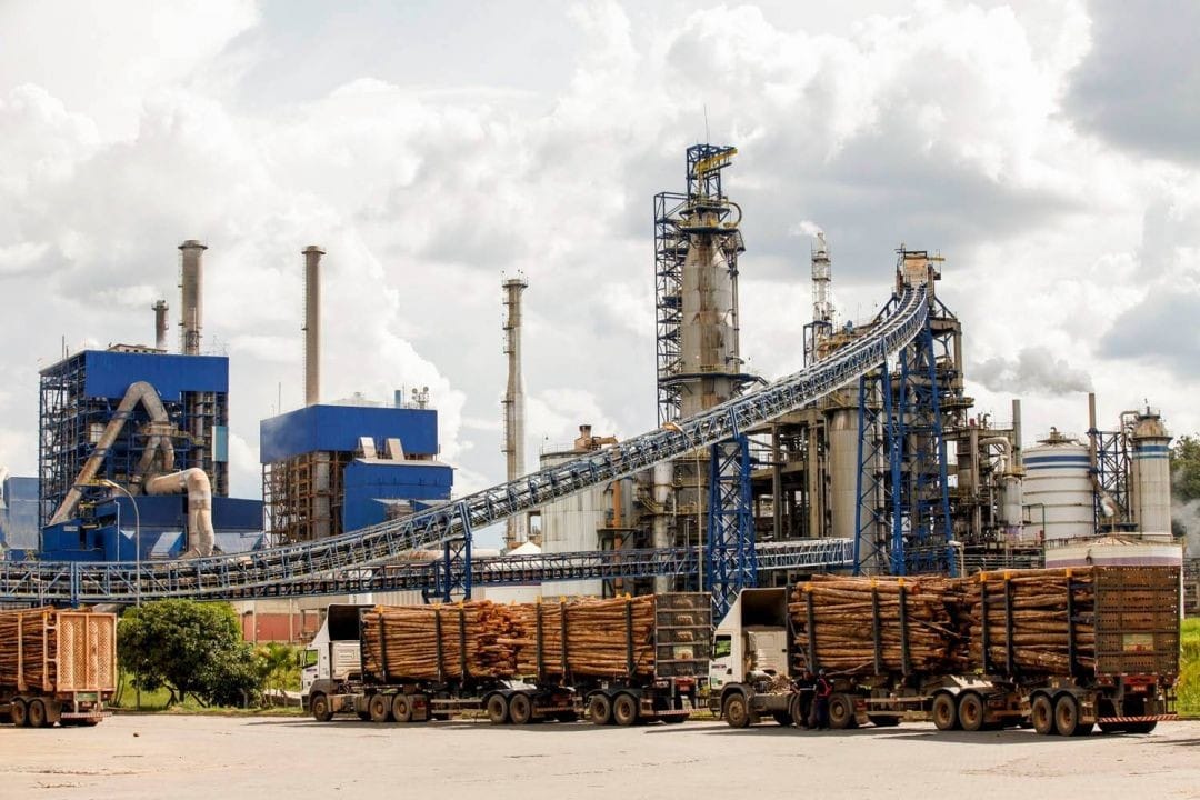Suzano abre vagas em Jacareí com benefícios e oportunidades de crescimento
