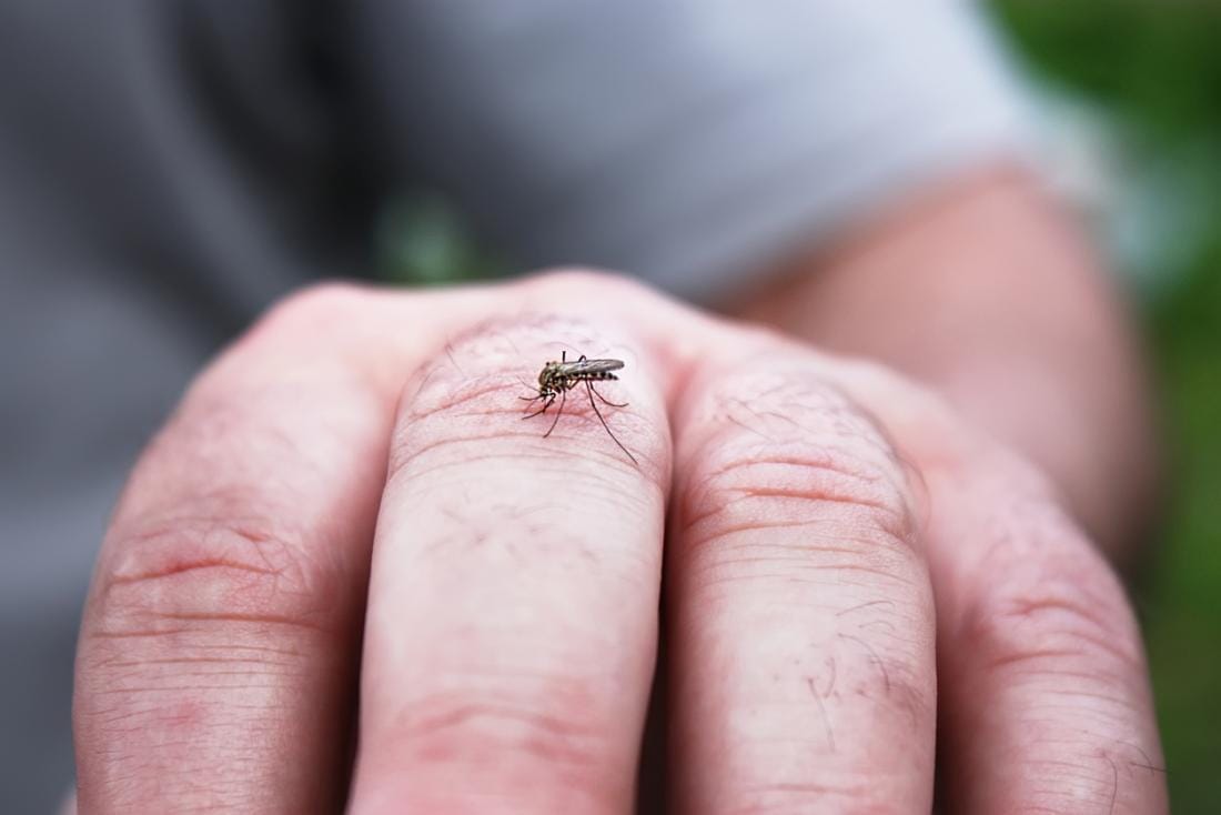 Taubaté confirma terceira morte por dengue em 2026; região já soma sete óbitos
