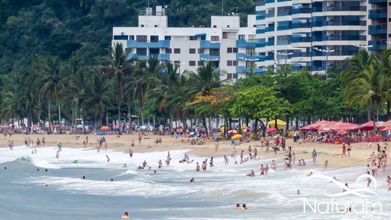 Locação no Litoral Paulista tem diárias mais baratas para o Carnaval de 2025, aponta pesquisa do CRECI-SP