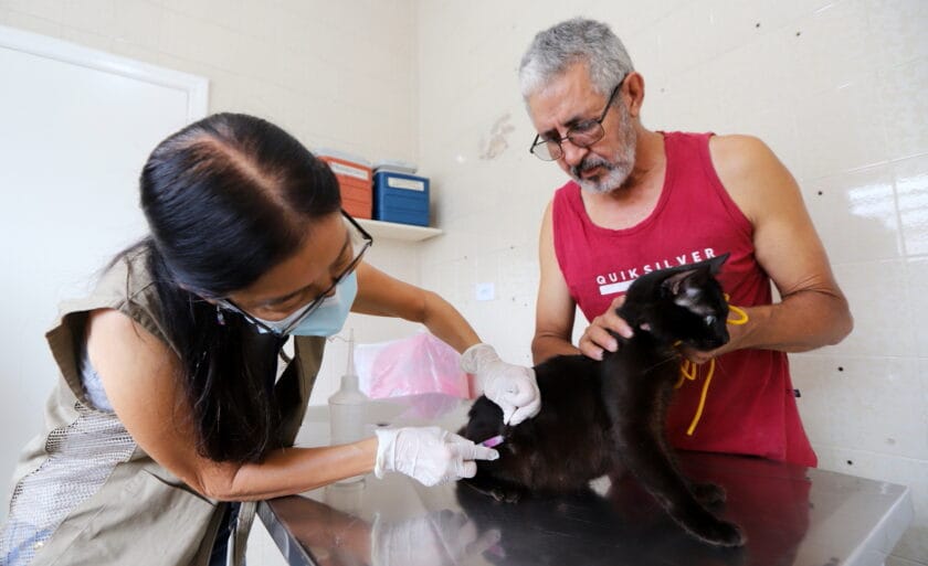 Vacinação antirrábica gratuita para cães e gatos neste sábado em Jacareí