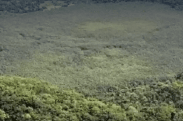 Cratera em Ubatuba pode ter sido formada por asteroide há seis milhões de anos