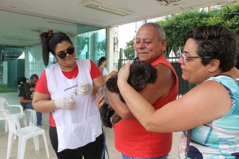 Jacareí realiza vacinação antirrábica gratuita para cães e gatos durante o mês de julho