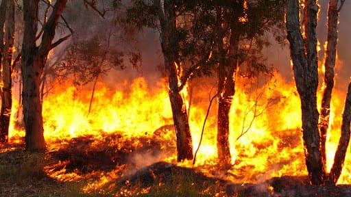 Vale do Paraíba entra em alerta para risco de queimadas até quarta-feira (16)