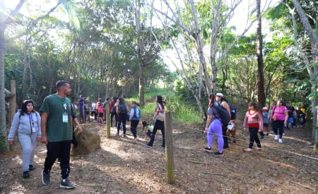 Viveiro Municipal promove dia de atividades educativas e contato com a natureza neste domingo