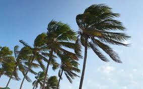 Marinha emite alerta de ventos fortes no Litoral Norte de SP no fim de semana