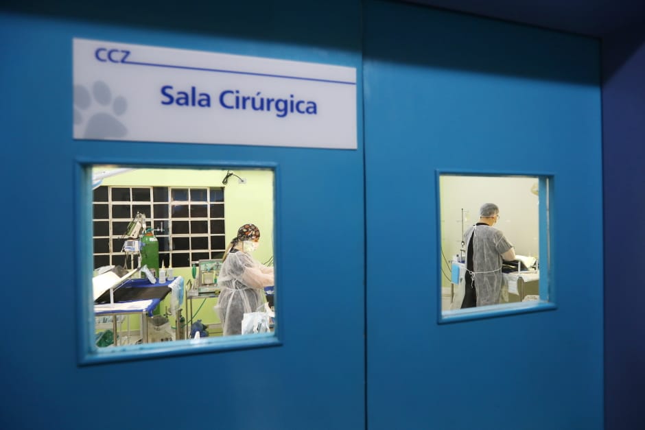 São José dos Campos abre inscrições para a 43ª fase do programa Meu Pet Feliz nesta terça (26)