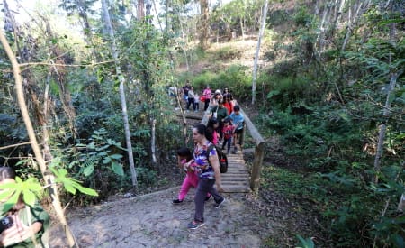 Jacareí celebra Dia Mundial do Turismo com programação especial no Viveiro Municipal