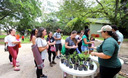 “Viver o Viveiro” acontece neste domingo (19) no Viveiro Municipal ‘Seo Moura’