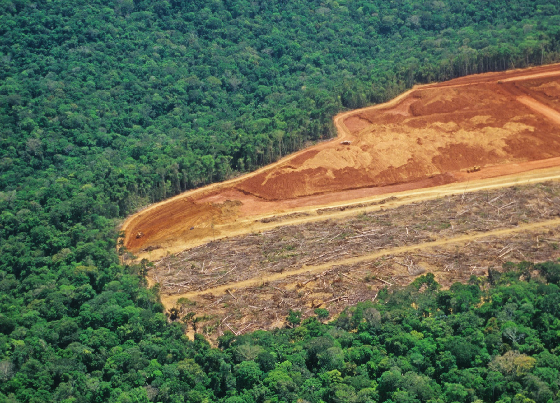 Desmatamento na Amazônia Legal cai para o terceiro menor nível da história, diz Inpe