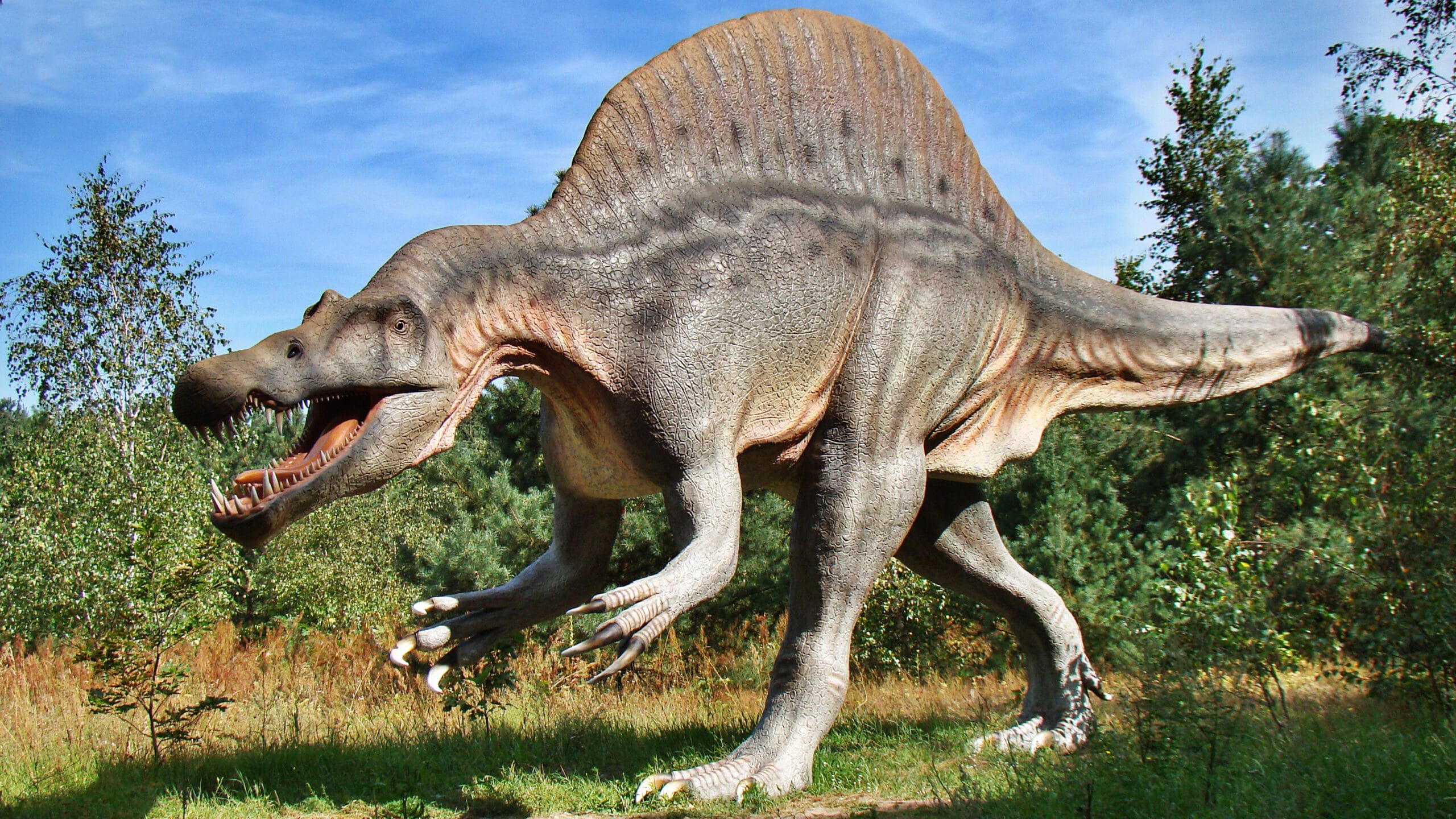 Vale do Paraíba integra projeto da USP que mapeia “Trilha dos Dinossauros” no estado de São Paulo