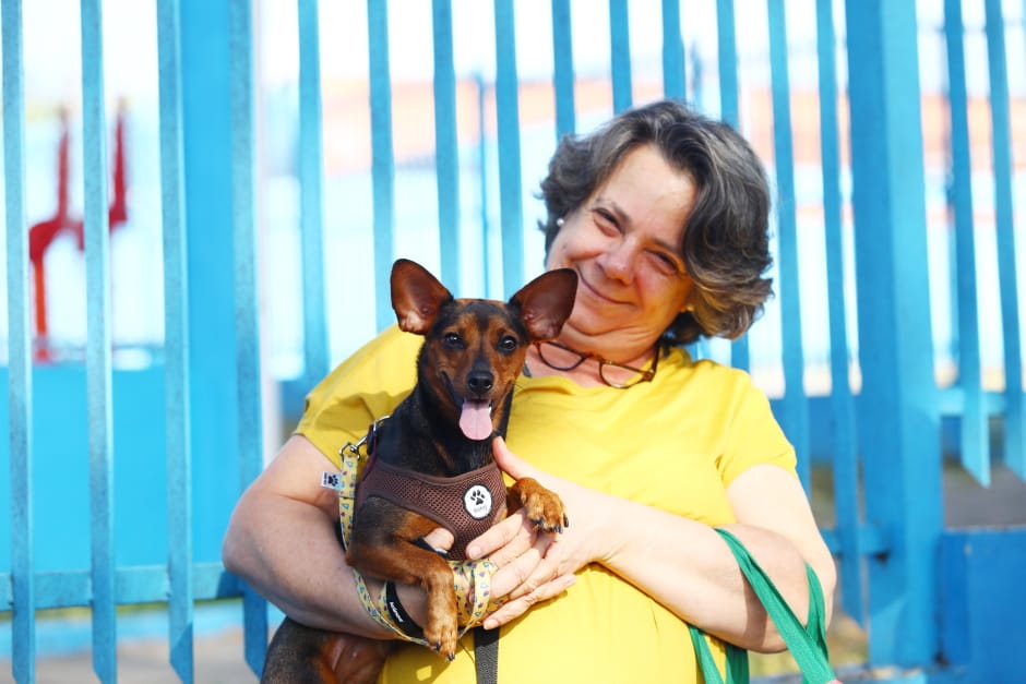 Prefeitura abre inscrições para castrações gratuitas de cães e gatos em São José dos Campos