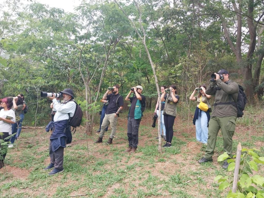 Taubaté recebe evento de observação de aves neste sábado (8)