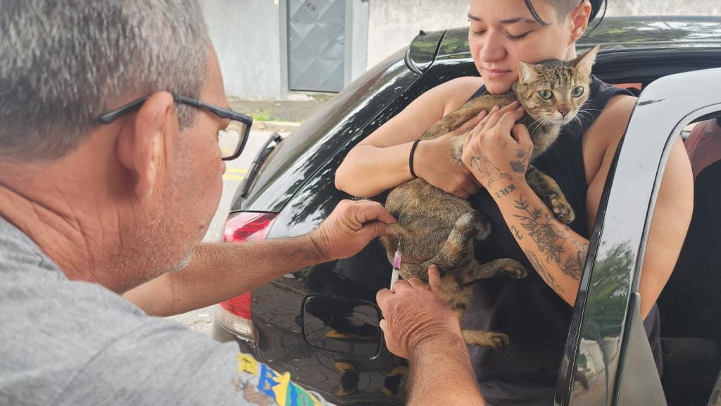 Taubaté realiza vacinação antirrábica para cães e gatos no bairro Novo Horizonte nesta quarta (19)