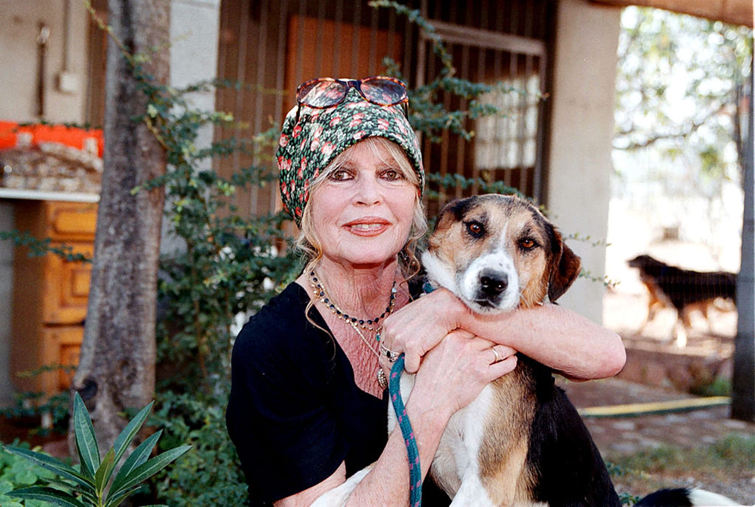 Morre aos 91 anos Brigitte Bardot, ícone do cinema francês e ativista da causa animal