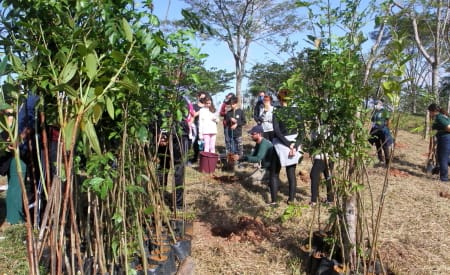 Jacareí inicia programação especial pelo Dia Internacional da Educação Ambiental com ações abertas ao público
