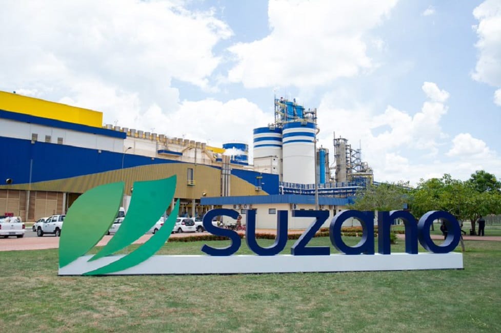 Suzano prorroga inscrições para Programa Jovem Aprendiz em áreas florestais de Caçapava eTaubaté