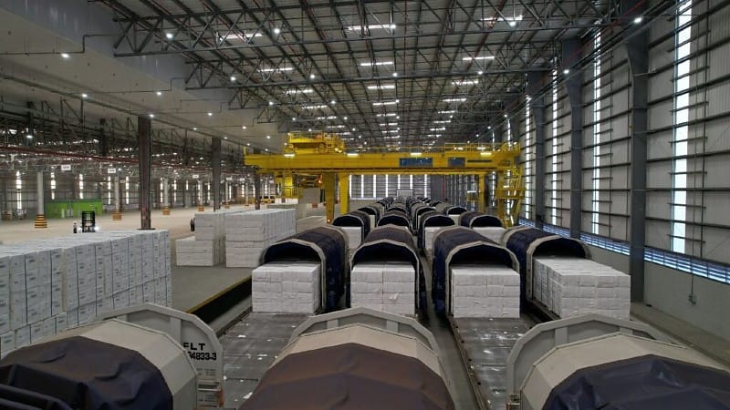 Suzano registra lucro de R$ 13,4 bilhões e resultados históricos em 2025