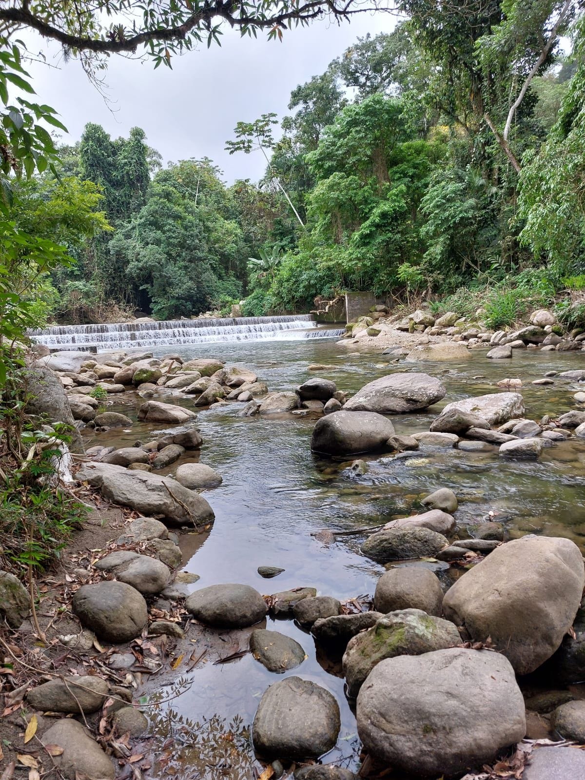 Projeto ambiental em Ubatuba integra primeira Bolsa de Ação Climática do Brasil