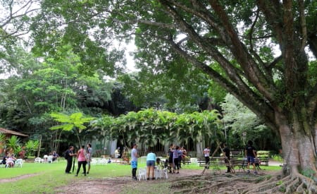 Viveiro Municipal de São José dos Campos promove atividades gratuitas de educação ambiental neste domingo