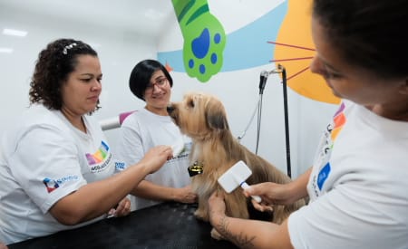 Jacareí recebe curso gratuito de banho e tosa para pets com 45 vagas