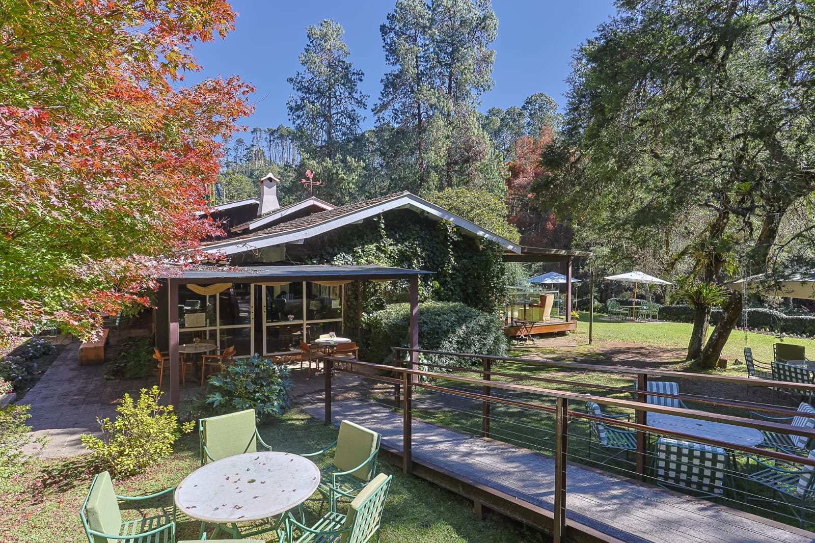 Casa Bambuí lança cardápio de inverno com pratos especiais na Serra da Mantiqueira