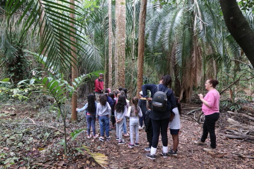 Viveiro Municipal de Jacareí tem oficinas ecológicas e trilhas gratuitas neste domingo