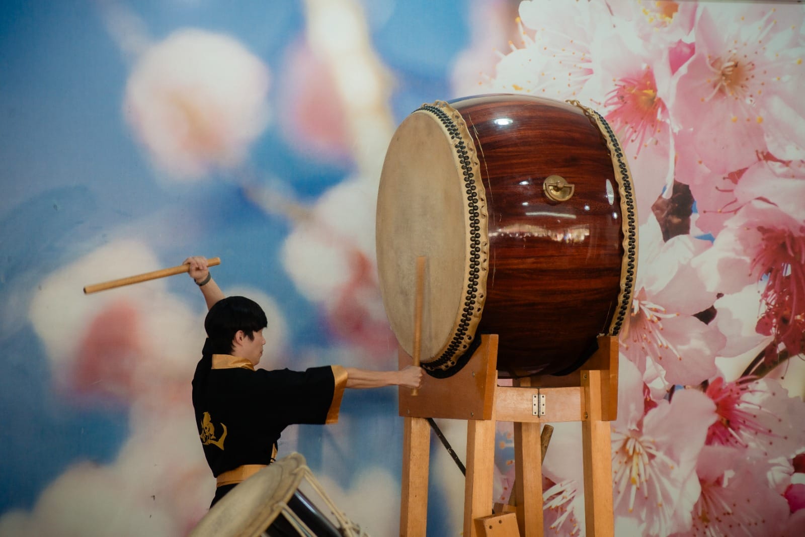 Festa da Cerejeira em Flor destaca apresentações de taiko e celebra cultura japonesa em Campos do Jordão