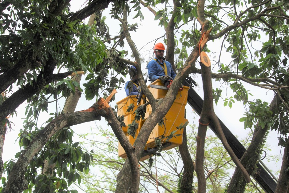 EDP reforça operação no Vale do Paraíba diante de previsão de chuva forte e ventos